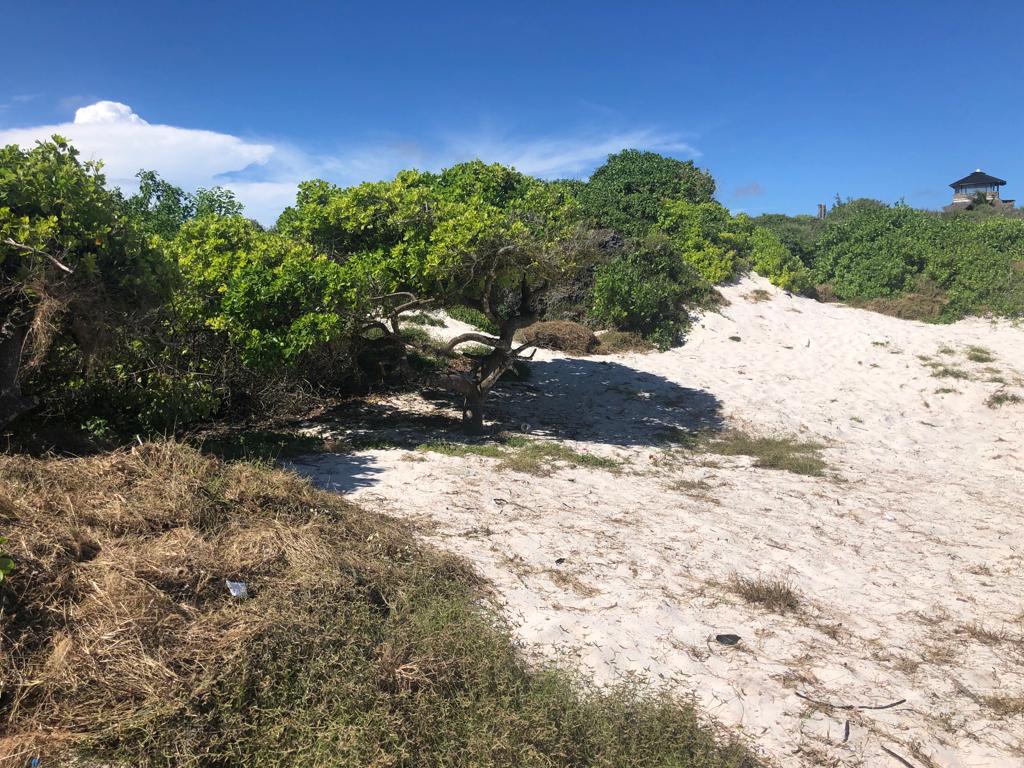Beach Plot for Sale in Watamu