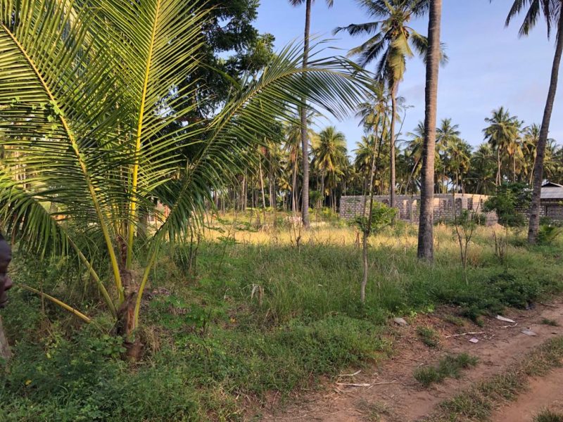80x50 plot dabaso watamu