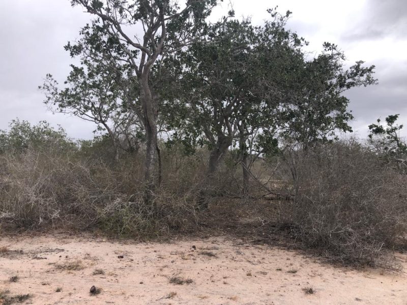 marafa land for sale