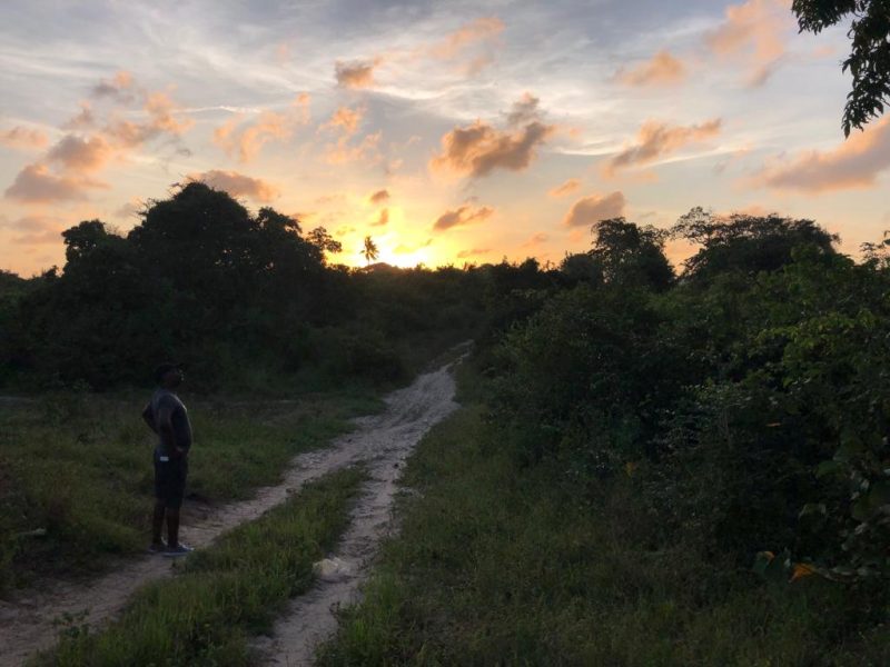 mijomboni land for sale 2
