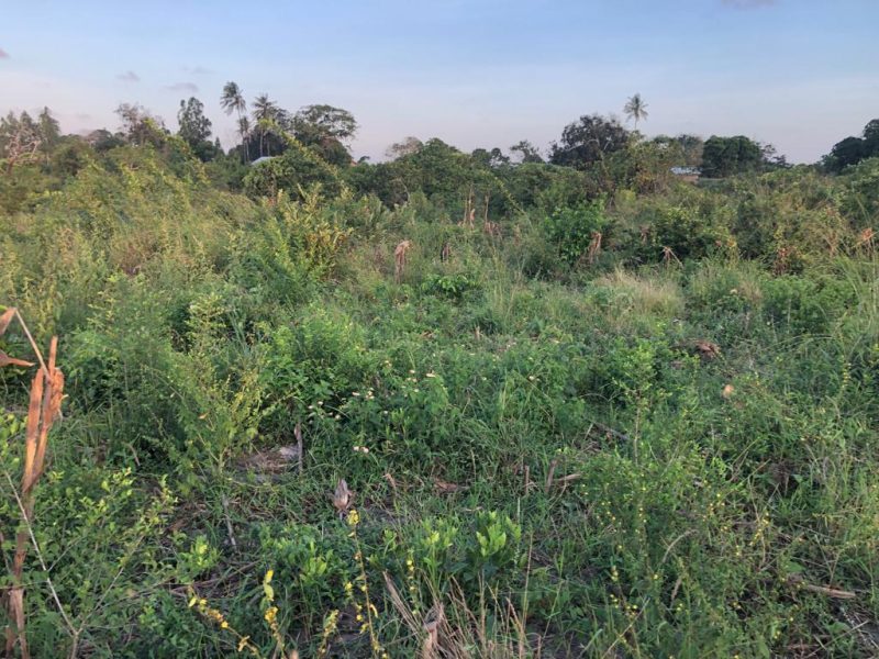 mijomboni land for sale 3