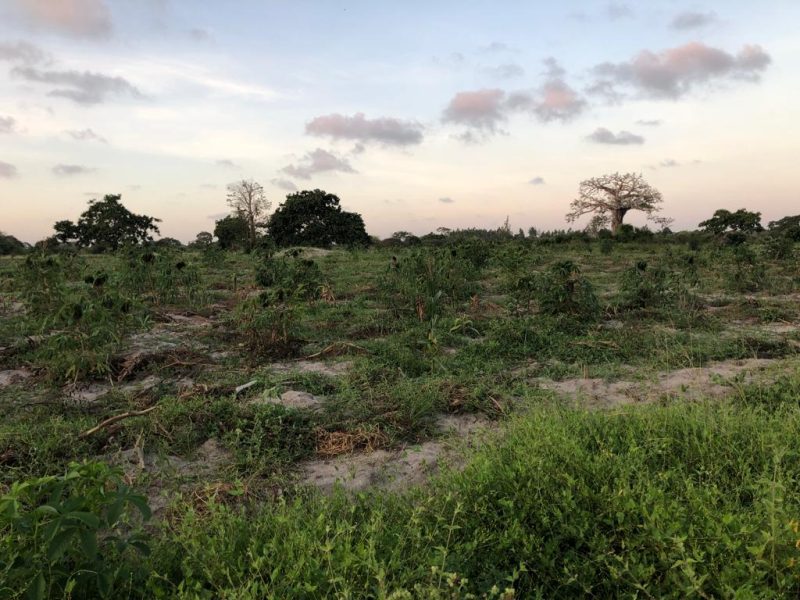 mijomboni land for sale 4