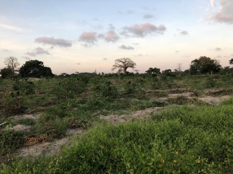 mijomboni land for sale